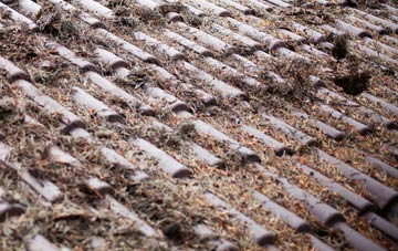 Little Driffield roof cleaning companies